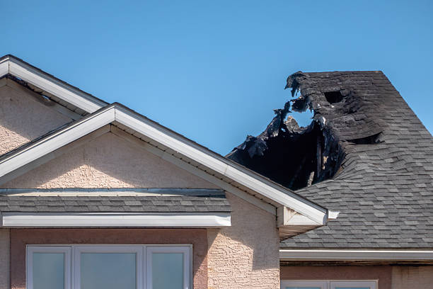 Top rated local Soot Cleanup specialists in Belle Mead, NJ